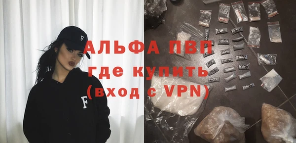 стаф Арсеньев