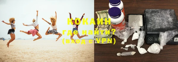 ALPHA PVP Няндома