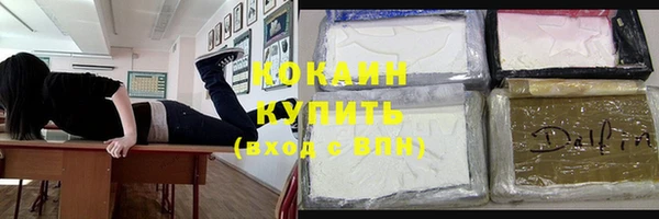 стаф Арсеньев