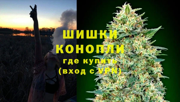 ГАЛЛЮЦИНОГЕННЫЕ ГРИБЫ Армянск