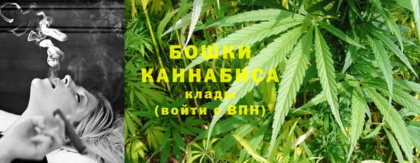 ГАЛЛЮЦИНОГЕННЫЕ ГРИБЫ Армянск