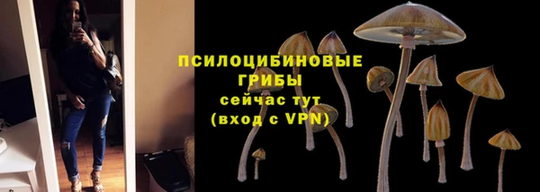 ECSTASY Нягань