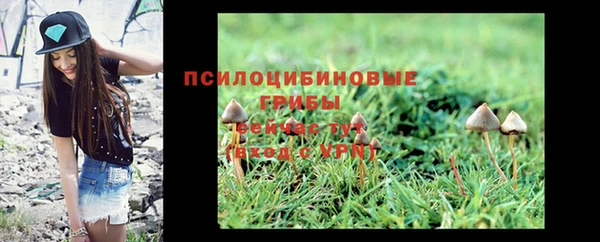 стаф Арсеньев
