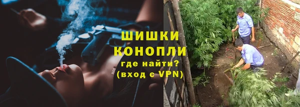 ГАЛЛЮЦИНОГЕННЫЕ ГРИБЫ Армянск